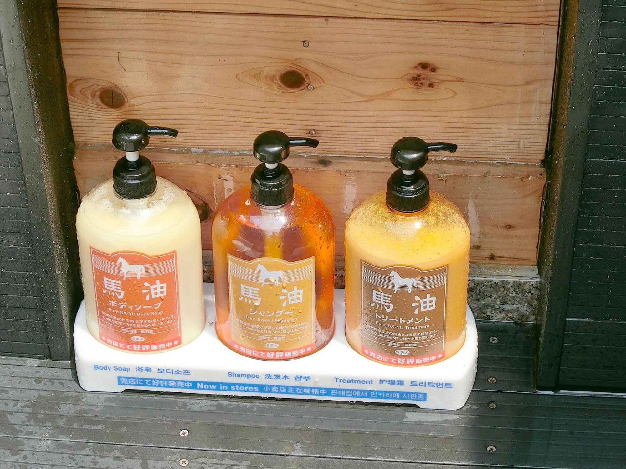 Shirahama Meiji Villa Rum bild