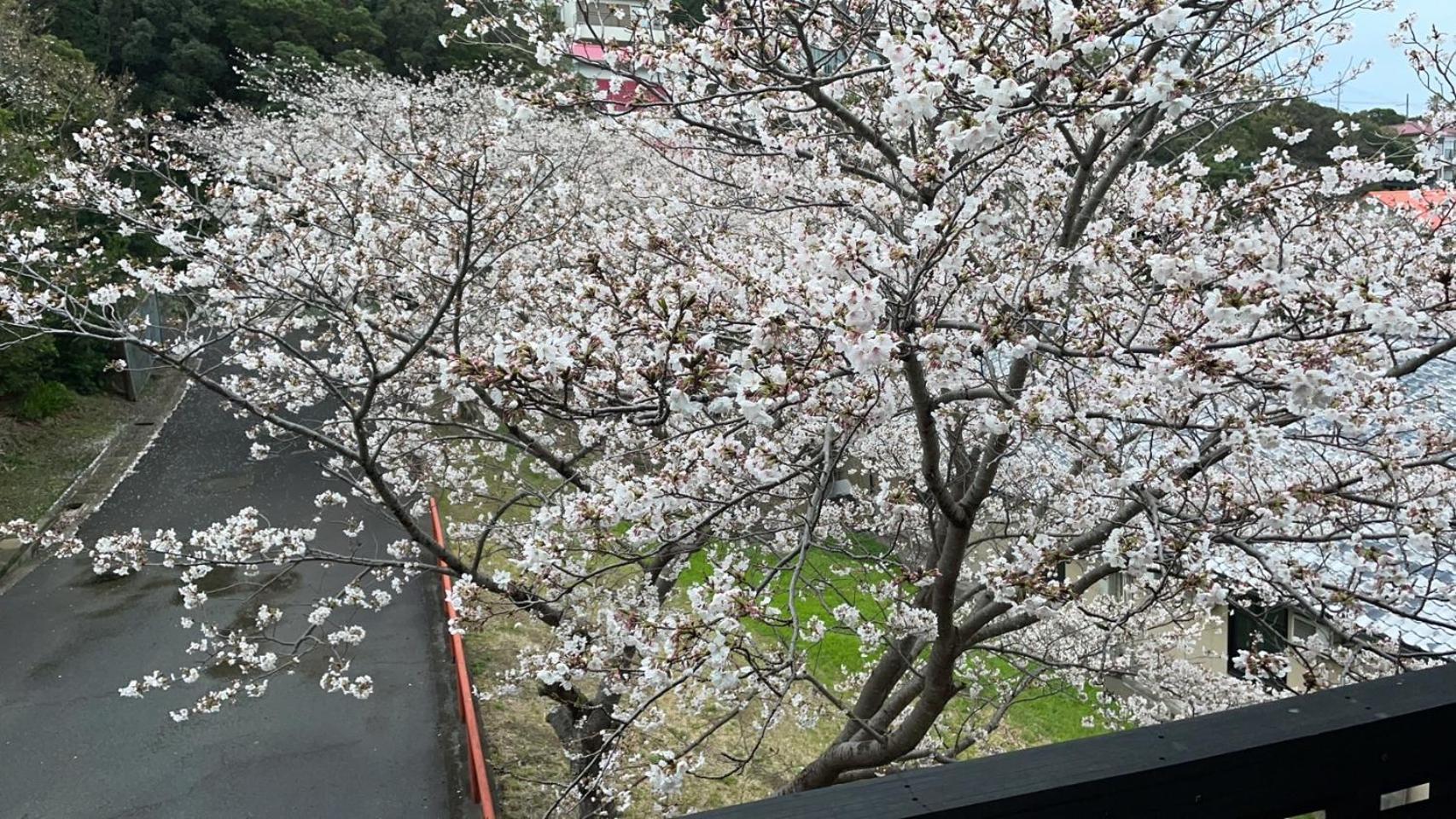 Shirahama Meiji Villa Exteriör bild